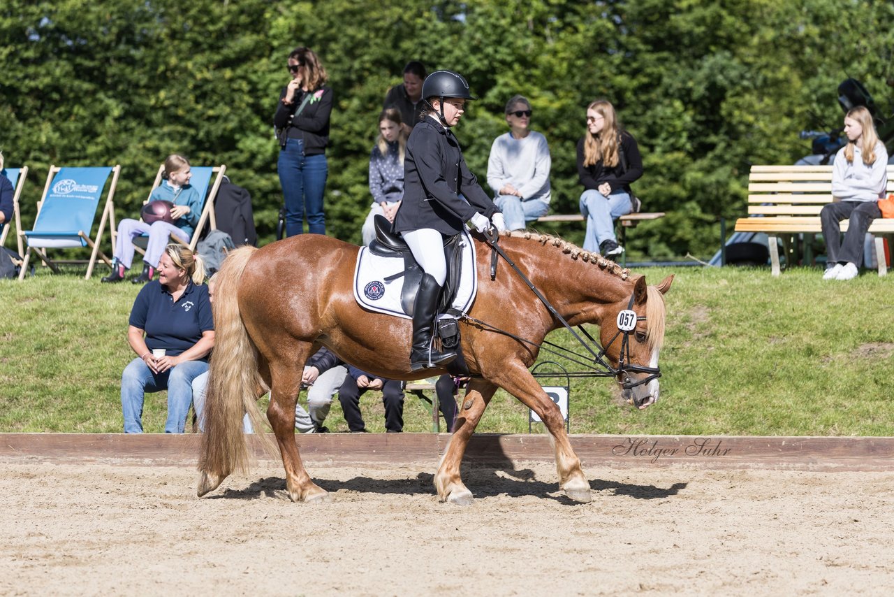 Bild 96 - Pony Akademie Turnier